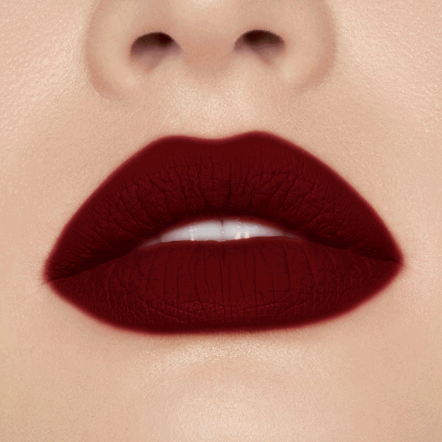 NEW! VAMP BABE LIP KIT